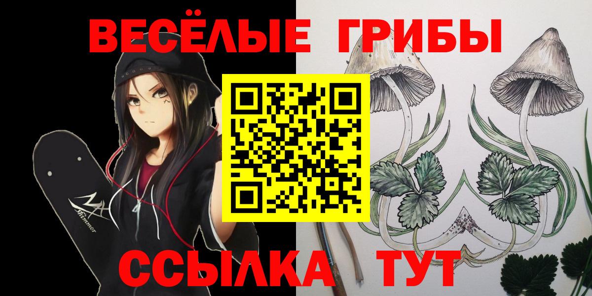 Псилоцибиновые грибы Psilocybine cubensis Иваново